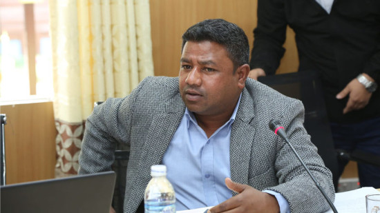 'सांसदको भूमिका दलबाट प्यारालाइज्‍ड भइरहेको छ'